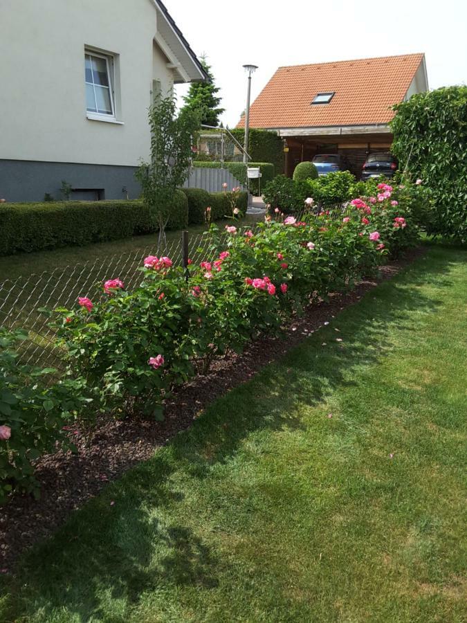 Ferienwohnung Schubert ساغارد المظهر الخارجي الصورة